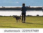 Small photo of Adult female enjoying a beautiful sunny winter day alongside her best friend and pet dog walking at Boxcar Park in Everett, Washington. Natural light ignites horizon behind. Captured January 17, 2023