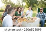 Small photo of Group of young happy friends having pic-nic outdoors - People having fun eating pizza and celebrating while grilling ata barbacue party in a countryside