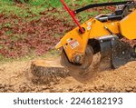 Stump Grinding A Tree Trunk - Close Up
