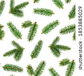 top view flat lay green fir... | Shutterstock . vector #1853885029