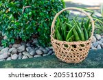A Small Rattan Basket Filled...