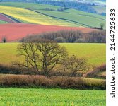 Small photo of Fields and Meadows over English Village, Berry Pomeroy, Devon, England, Europe