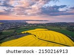 Sunset Over Rapeseed Fields And ...