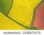 Top Down Over Rapeseed Fields...