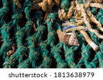 A Close Up Of Fishing Nets On A ...