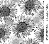 Hand Drawn Sunflowers In A...
