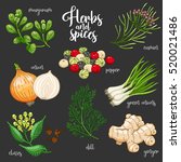 spices and herbs vector set to... | Shutterstock .eps vector #520021486