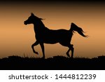 silhouette arabian horse...