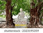 Small photo of BANGKOK, THAILAND - June 24, 2023 : The Old White Buddha Statue under the Bodhi tree is located in the Buddhist temple area for people to pay obeisance.