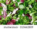 Mixed salad leaves  frisee, radicchio and lamb's lettuce. Background, texture.