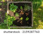 1 m2 vegetable garden seen from above with young plants between sun and shade