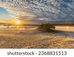 Small photo of A dramatic and colourful sunset over the Lommelse Sahara (English Lommelse Sahara), a National Park with sand dunes in Belgium with beautiful reflections in the lake of the clouds and natural colours.