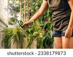 Woman use soil moisture meter to avoid over and under watering. Houseplant care