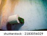 Small photo of A roll of the cheapest single ply toilet paper on a toilet paper holder in a rural outdoor toilet