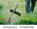 Close up on string trimmer head weed cutter petrol or electric brushcutter working in the yard or field cutting grass in garden in day low angle view