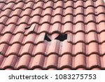 Broken Monier Tiles Roof 