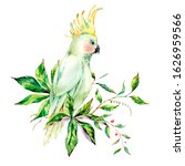 Watercolor White Parrot Summer...