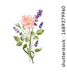 watercolor bouquet of roses and ... | Shutterstock . vector #1689379960