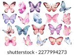 Butterfly Collection....