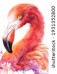 Flamingo Hand Drawn Watercolor...