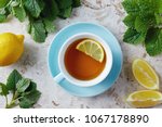 Lemon balm tea with honey. Cup of hot honey lemon balm tea. Lemon balm is a herb that belongs to the mint family and is known for its medicinal benefits. 
