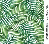 watercolor tropical palm leaves ... | Shutterstock .eps vector #287590703
