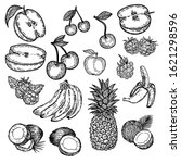 vector hand drawn set of fruits ... | Shutterstock .eps vector #1621298596
