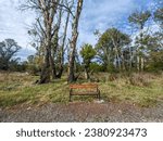 Small photo of Brown wooden park bench, illegal logging cut off the trees, scene. Ecology disaster. Humans , one of the main culprits destroying the nature. Remains of the tree forest. Trunks. Grass field. Blue sky.