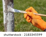 Small photo of Applying whitewash to a tree in the garden. A gardener paints a tree trunk with a brush. Garden work. Apple tree trunk, protection against pests and diseases, chalk whitewashing.