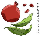 pomegranate sticker set on... | Shutterstock .eps vector #1696852213