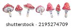 Watercolor Fly Agaric In...