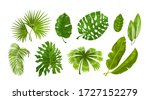 tropic plants. monstera and... | Shutterstock .eps vector #1727152279
