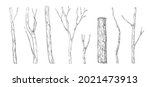 tree branch engraving. hand... | Shutterstock .eps vector #2021473913