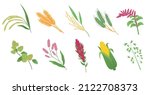 cereal grasses. cartoon flat... | Shutterstock .eps vector #2122708373