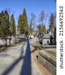 Lychakiv cemetery. tombstones...
