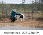Small photo of Konnu Suursoo, Estonia - October 29 2023: Girl with big dog picking cranberries from treacherous soft peat moss mattress in mire. First frost covered the bog lake with thin ice. Estonian wilderness.
