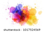 multicolored splash watercolor... | Shutterstock .eps vector #1017524569