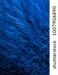 Fabric Texture Fur Blue...