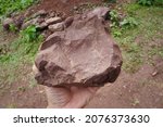 Raw Specimen Of Red Shale...