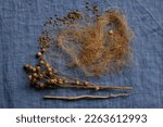 Small photo of Fibers of natural uncolored flax, tow. Flax seeds pods. Blue linen canvas. Growing demand for natural fibers.