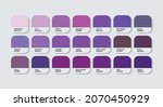 purple color guide palette with ... | Shutterstock .eps vector #2070450929