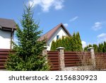 private suburban house with backyard behind high fence. beautiful landscape recreation cottage complex in ecological area with green thuja hedge. Modern architecture, riches and luxury concept.