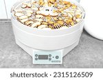 Small photo of Dehydrator machine on kitchen.Special Electric dryer equipment for drying apples,pastille,vegetables. Preserving benefits of fresh fruits.Healthy food.Autumn preparations