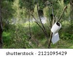 Toilet paper is hung on a tree branch while camping. This indicates that the camp loo if vacant.