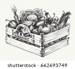 wooden crate full of organic... | Shutterstock .eps vector #662693749