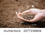 Small photo of Top view of soil in hands for check the quality of the soil for control soil quality before seed plant. Future agriculture concept. Smart farming, using modern technologies in agriculture