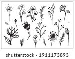 set of line drawings of herbs ... | Shutterstock .eps vector #1911173893