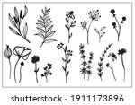 set of line drawings of herbs ... | Shutterstock .eps vector #1911173896