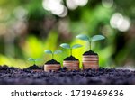 Small photo of Coins and plants are grown on a pile of coins for finance and banking. The idea of saving money and increasing finances.