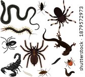 collection of creepy insects ... | Shutterstock .eps vector #1879572973